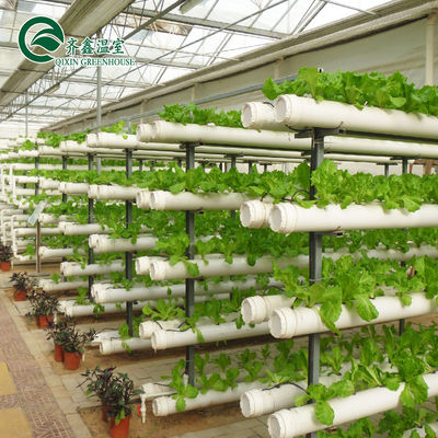 Vertikal hydroponisches System mit Glasüberdachung für den Anbau von Gemüse, Obst und Blumen