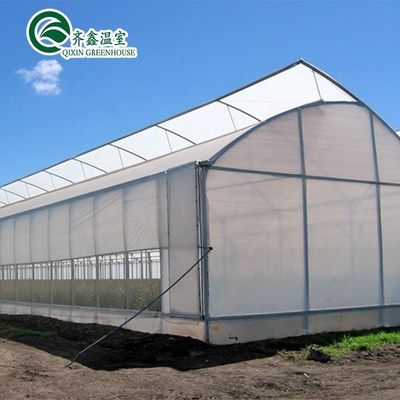 Einlagige PO-Wirtschafts-Multi-Span-Polycarbonat-Blatt-Gewächshaus für die Landwirtschaft