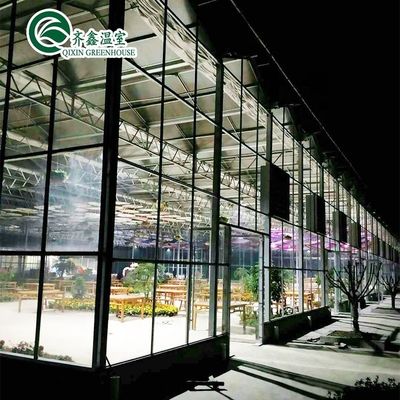 Verzinkte Stahlkonstruktion Venlo Glas Gewächshaus für den Anbau von Gemüse Früchte Blumen