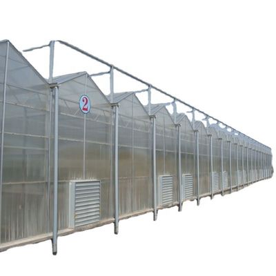 Polycarbonatblech, das transparente Solarzellen für Gewächshäuser abdeckt