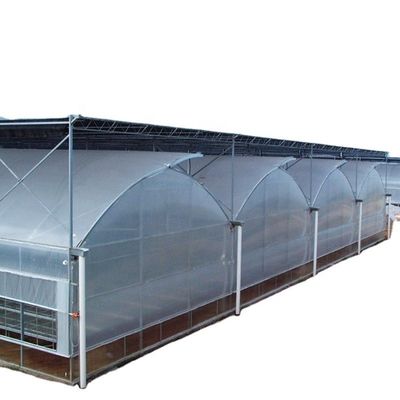 Multi-Span Gewächshausfilm für UV-Schutz und optimale Wachstumsbedingungen