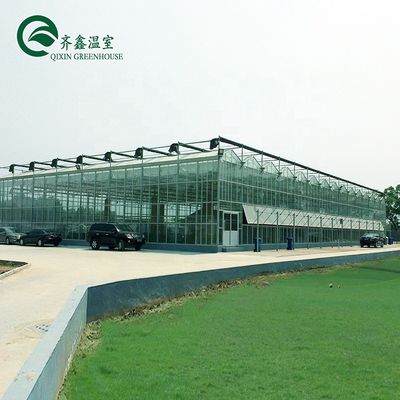 Großes, maßgeschneidertes landwirtschaftliches Glasgewächshaus mit PVC-Hydroponischem Dachrinnensystem
