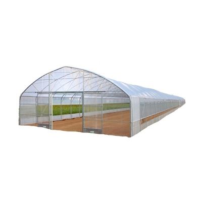 Tunnel-Gewächshaus wählen Sie anpassbare Größe Einfach-Span Landwirtschaftliche Gewächshäuser heute