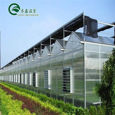 Hauptstruktur Heißverzinkte Aluminium-Stahl-Vorgefertigtes Gewächshaus für den Tomatenanbau