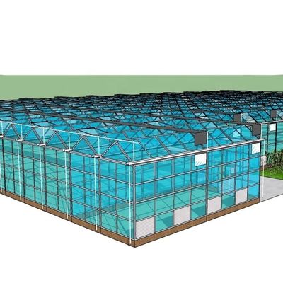 3.8m-9.8m Ridge Height Glas Solar Gewächshaus für Kundenanforderungen