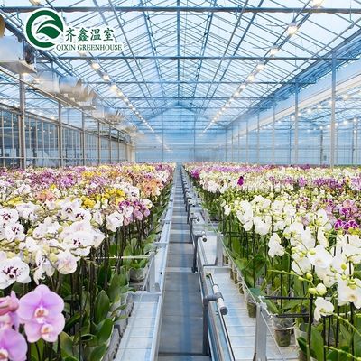 Gewächshäuser für den Einlagenanbau von Gemüse, Obst und Blumen