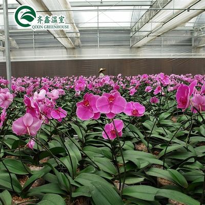 Gewächshäuser für den Einlagenanbau von Gemüse, Obst und Blumen