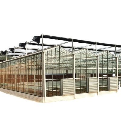 Großes, maßgeschneidertes landwirtschaftliches Glasgewächshaus mit PVC-Hydroponischem Dachrinnensystem
