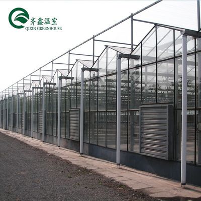 Großes, maßgeschneidertes landwirtschaftliches Glasgewächshaus mit PVC-Hydroponischem Dachrinnensystem