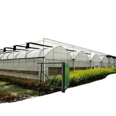 Innenschattierungssystem Pilz Gewächshausgeräte für Gemüse, Obst und Blumen