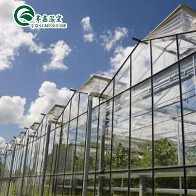 Großer Glas-Gewächshaus Pilz Aeroponic Tower Garten für Öko-Restaurant Anleitung
