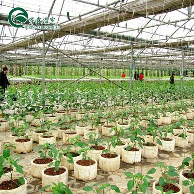 Großer Glas-Gewächshaus Pilz Aeroponic Tower Garten für Öko-Restaurant Anleitung