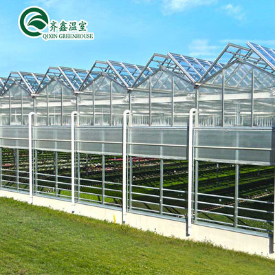 Vertikal hydroponisches System mit Glasüberdachung für den Anbau von Gemüse, Obst und Blumen