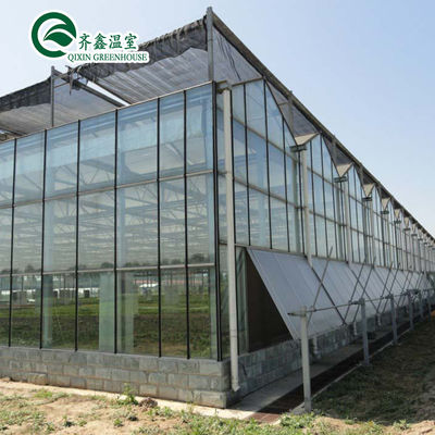 Vertikal hydroponisches System mit Glasüberdachung für den Anbau von Gemüse, Obst und Blumen