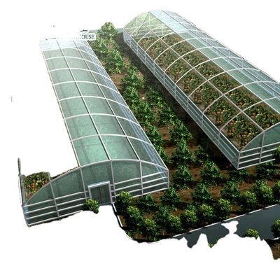 Pflanzen Sie Ihr eigenes Gemüse Obst und Blumen mit unserem kommerziellen Gewächshaus Philippinen