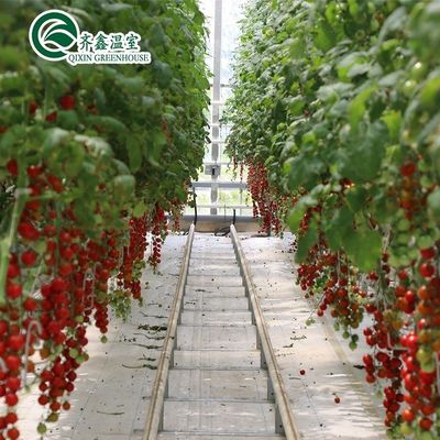 PO Turmgarten für Gemüse Obst Blumen Budgetfreundliches landwirtschaftliches Gewächshaus