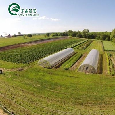 Pflanzen Sie Ihr eigenes Gemüse Obst und Blumen mit unserem kommerziellen Gewächshaus Philippinen
