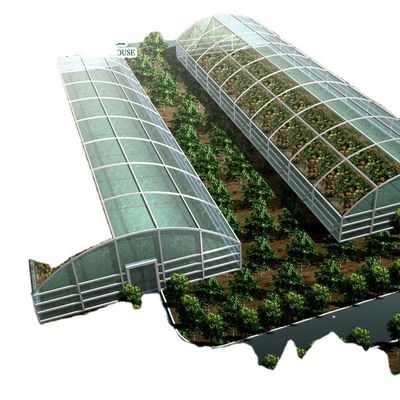 Gewerbliche Aquaponische Aquarien-Systeme Vorgefertigte PO-Gewächshäuser für Gemüse
