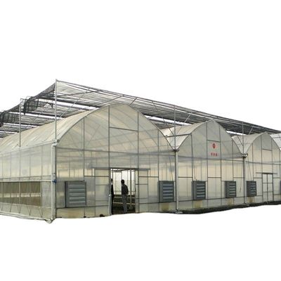 Verwendete Behälter Tomaten Gewächshaus PE Material Optionales Lüftungssystem