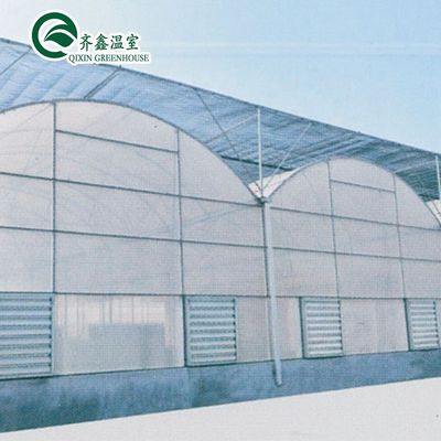 Verwendete Behälter Tomaten Gewächshaus PE Material Optionales Lüftungssystem