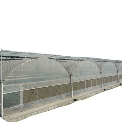 Verwendete Behälter Tomaten Gewächshaus PE Material Optionales Lüftungssystem