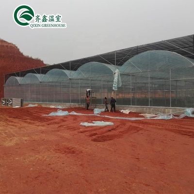 Verwendete Behälter Tomaten Gewächshaus PE Material Optionales Lüftungssystem