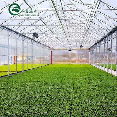 Einlagige PO-Wirtschafts-Multi-Span-Polycarbonat-Blatt-Gewächshaus für die Landwirtschaft