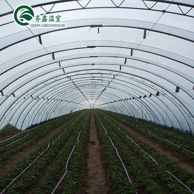Einlagige PO-Wirtschafts-Multi-Span-Polycarbonat-Blatt-Gewächshaus für die Landwirtschaft