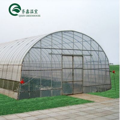Einlagige PO-Wirtschafts-Multi-Span-Polycarbonat-Blatt-Gewächshaus für die Landwirtschaft