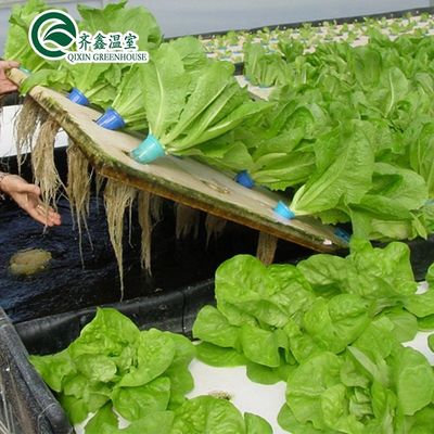 PO Turmgarten für Gemüse Obst Blumen Budgetfreundliches landwirtschaftliches Gewächshaus