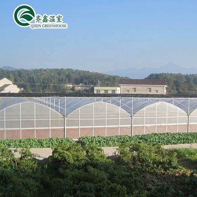 Mehrspannende landwirtschaftliche Gewächshäuser Hydroponik Aeroponik Turm Garten für Film Gewächshäuser
