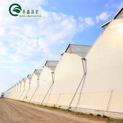 Einfach-Tunnel-Gewächshaus mit kommerziellem Film, um die landwirtschaftliche Produktion zu maximieren
