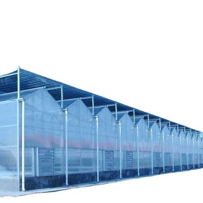 3.8m-9.8m Ridge Height Glas Solar Gewächshaus für Kundenanforderungen