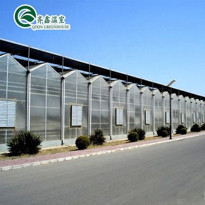 Transparentes Polyethylen-Tunnel-Gewächshaus für den Anbau von Gemüse