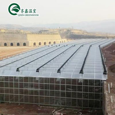 Transparentes Polyethylen-Tunnel-Gewächshaus für den Anbau von Gemüse