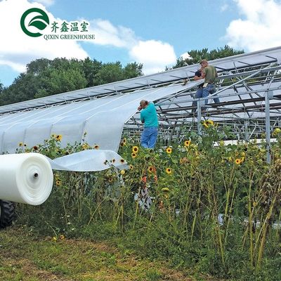 Gemüse Obst Blumen Pilzhaus für umweltfreundlichen Anbau