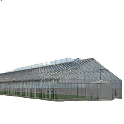 Gemüse Obst Blumen Pilzhaus für umweltfreundlichen Anbau