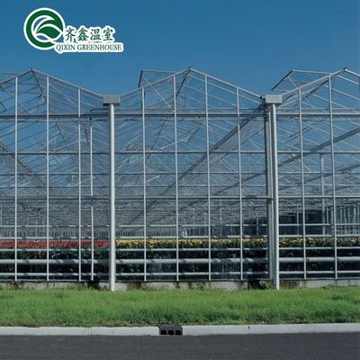 Verzinkte Stahlkonstruktion Venlo Glas Gewächshaus für den Anbau von Gemüse Früchte Blumen