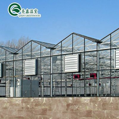 Verzinkte Stahlkonstruktion Venlo Glas Gewächshaus für den Anbau von Gemüse Früchte Blumen