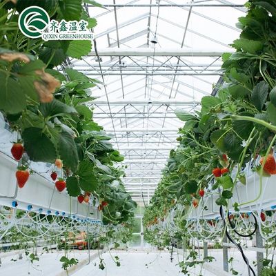 Verzinkte Stahlkonstruktion Venlo Glas Gewächshaus für den Anbau von Gemüse Früchte Blumen
