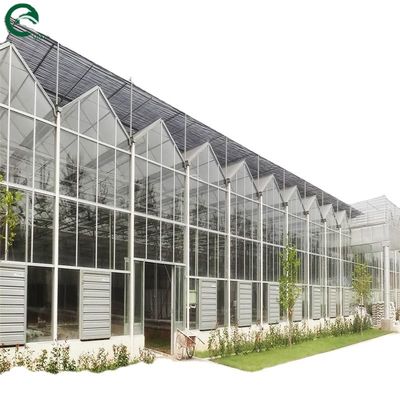 Gute Lichtdurchlässigkeit für Venlo-Glasgewächshäuser in der Landwirtschaft