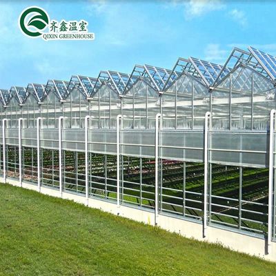 Gute Lichtdurchlässigkeit für Venlo-Glasgewächshäuser in der Landwirtschaft