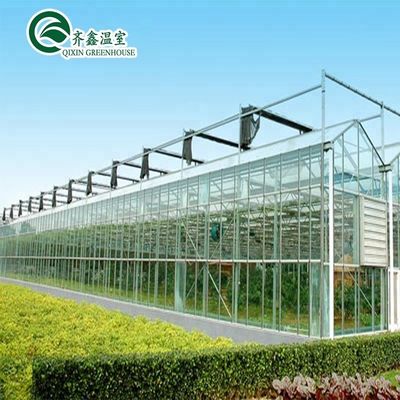 Gute Lichtdurchlässigkeit für Venlo-Glasgewächshäuser in der Landwirtschaft