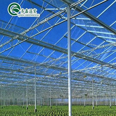 Gute Lichtdurchlässigkeit für Venlo-Glasgewächshäuser in der Landwirtschaft