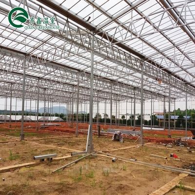 Gute Lichtdurchlässigkeit für Venlo-Glasgewächshäuser in der Landwirtschaft