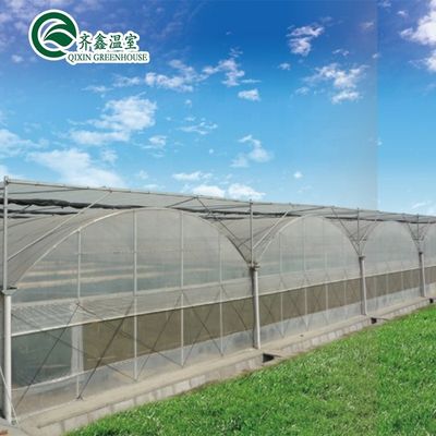 Gewächshaus Aquaponik Hydroponisches Anbausystem mit Kühl- und Lüftungsmöglichkeiten