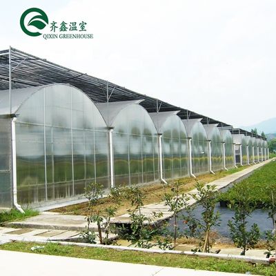 Gewächshaus Aquaponik Hydroponisches Anbausystem mit Kühl- und Lüftungsmöglichkeiten