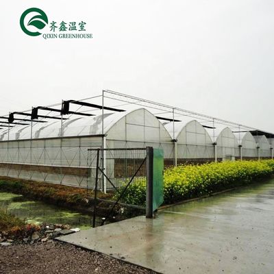 Gewächshaus Aquaponik Hydroponisches Anbausystem mit Kühl- und Lüftungsmöglichkeiten