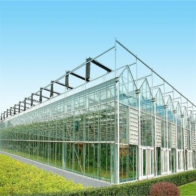 Große Venlo-Glasgewächshäuser, perfekt für Pflanzenwachstumsbedürfnisse geeignet