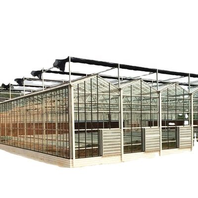 3.8m-9.8m Ridge Height Glas Solar Gewächshaus für Kundenanforderungen
